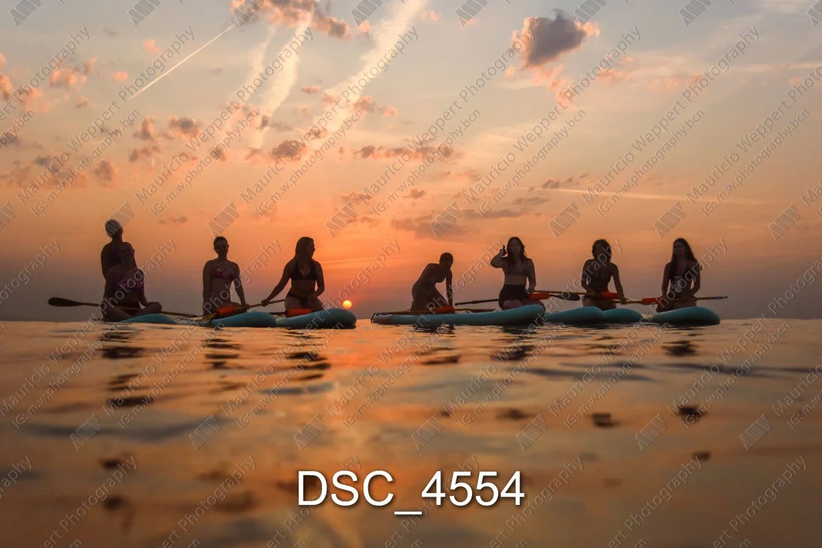 DSC_4554.jpg