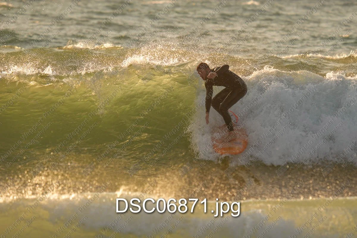 DSC06871.jpg