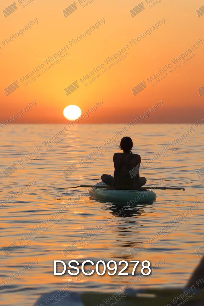 DSC09278.jpg