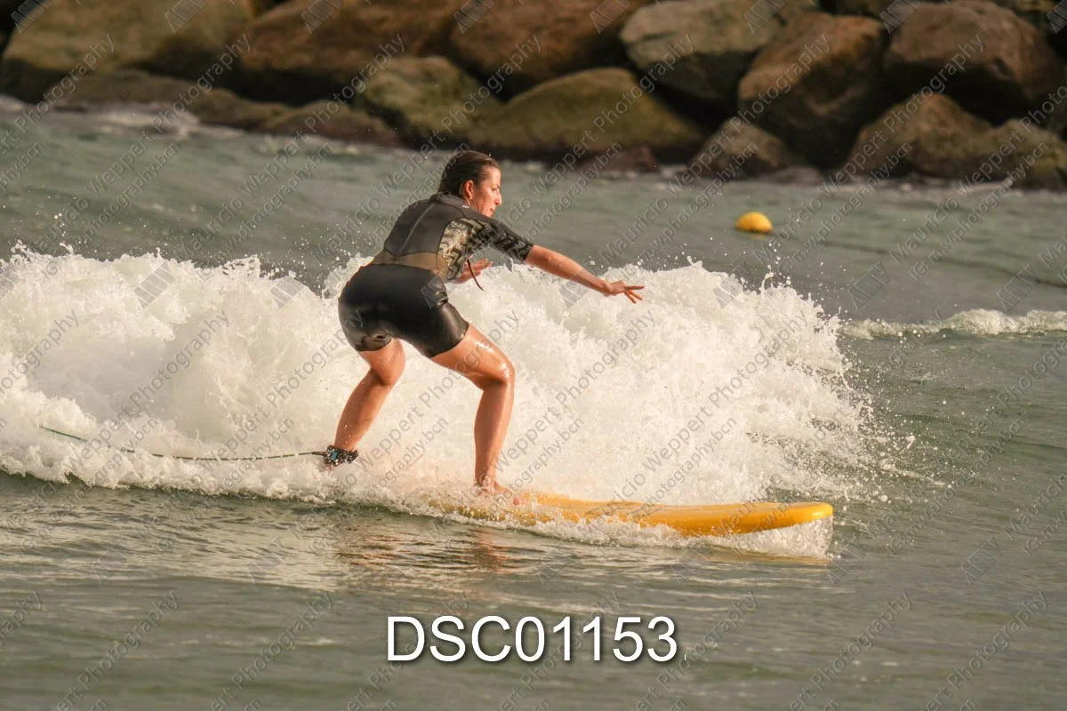 DSC01153.jpg