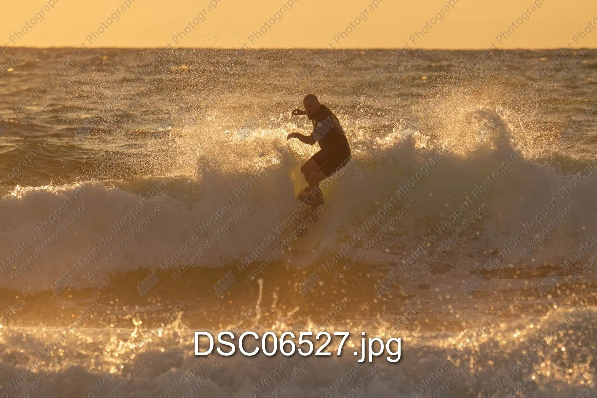 DSC06527.jpg
