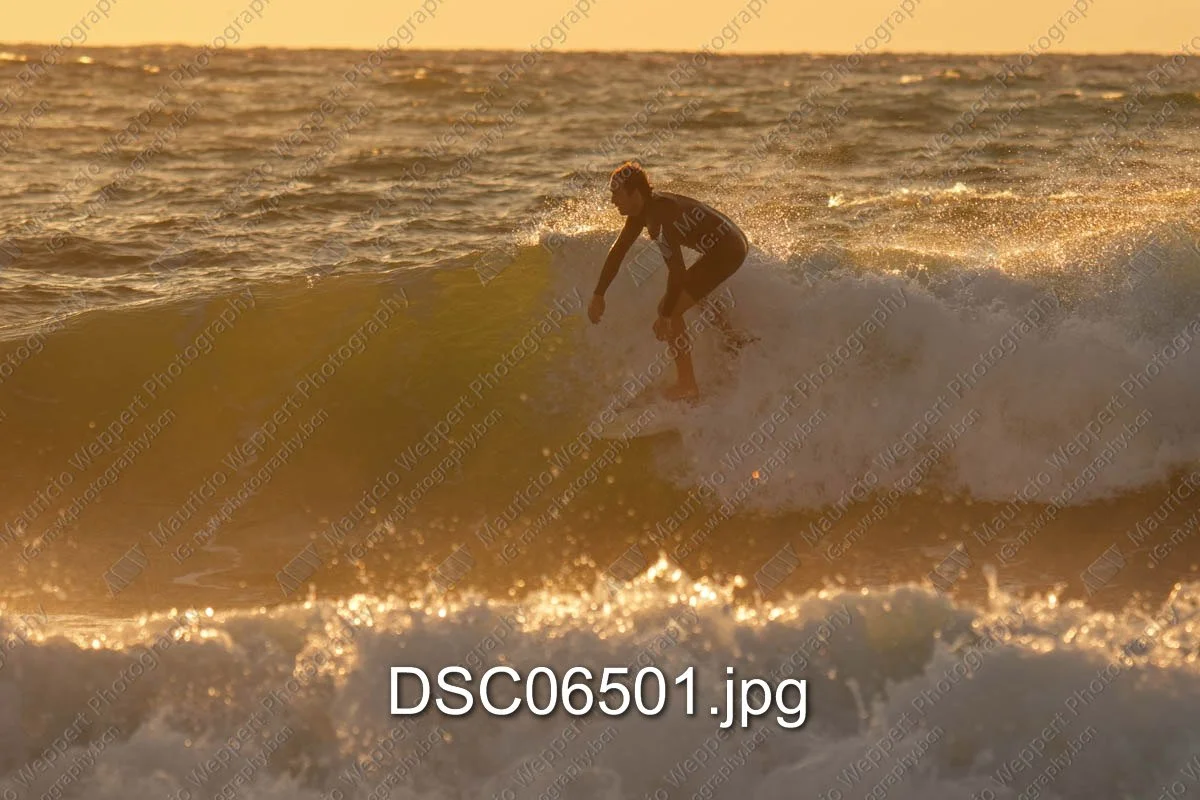 DSC06501.jpg