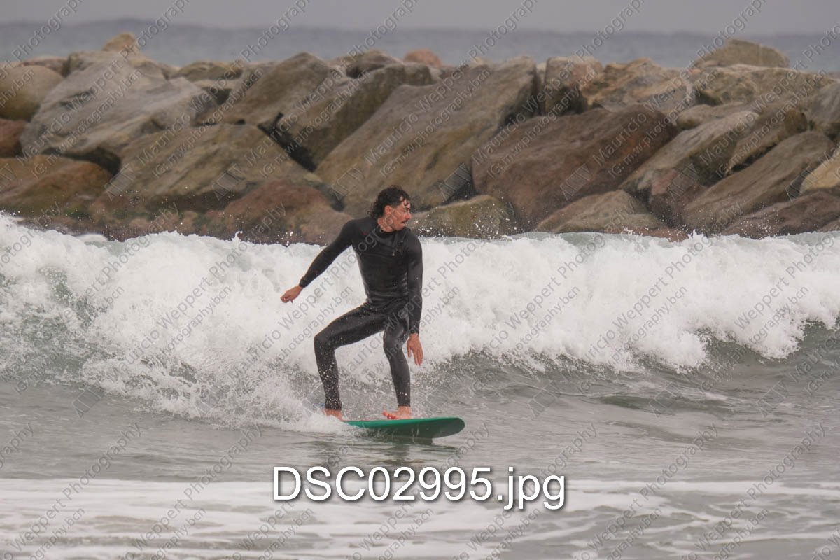 DSC02995.jpg