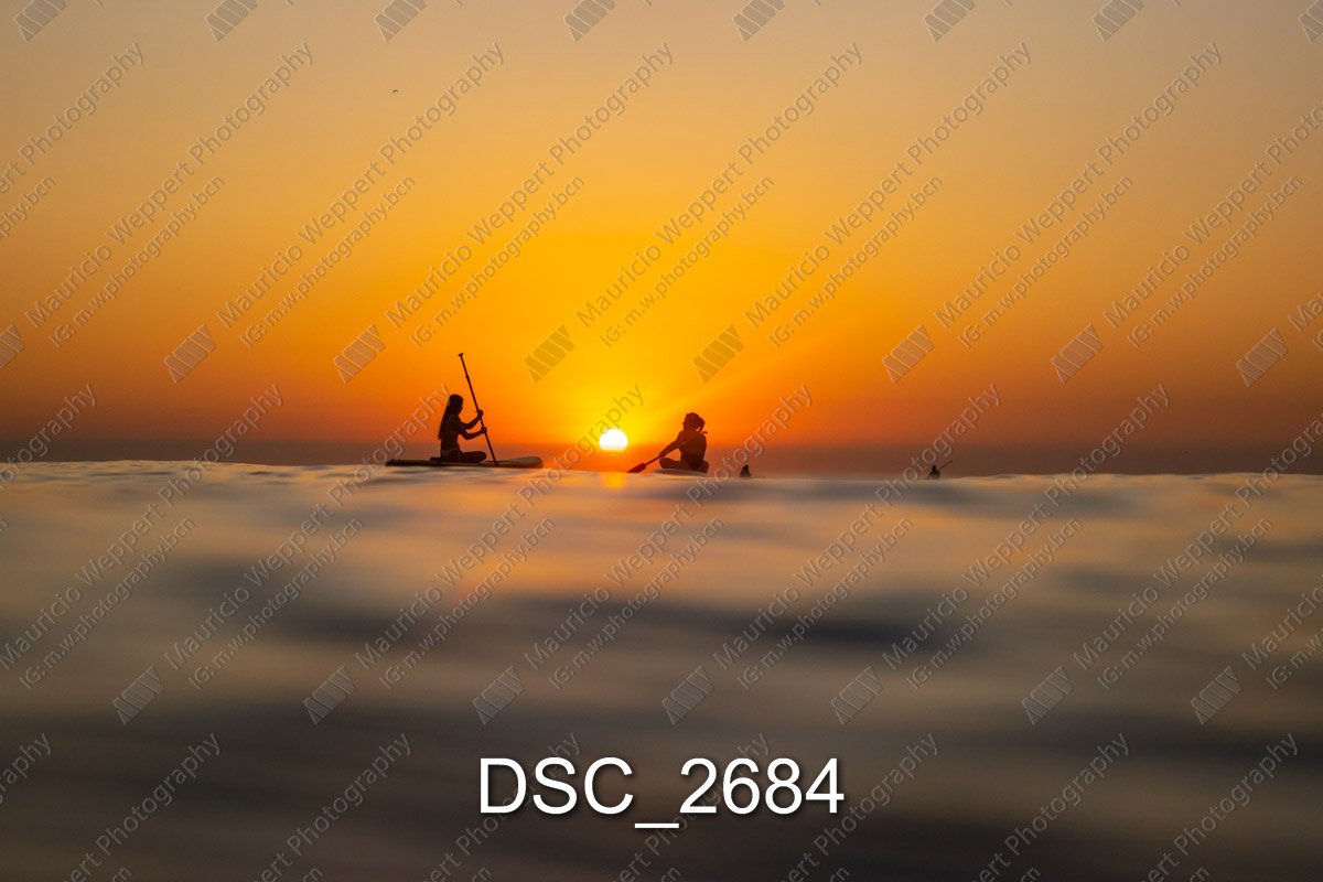 DSC_2684.jpg