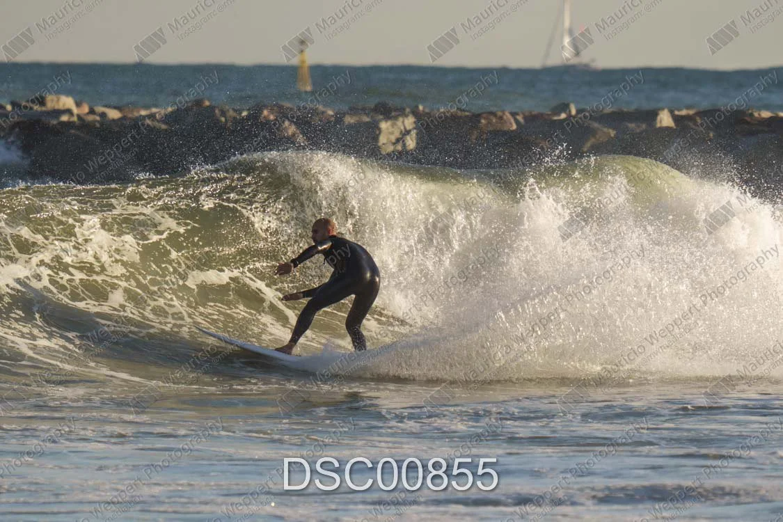 DSC00855.jpg