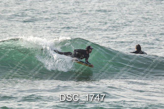 DSC_1747.jpg