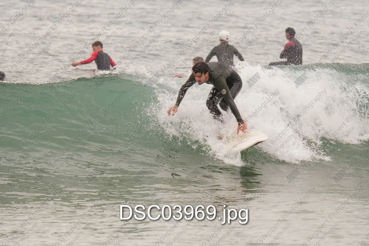 DSC03969.jpg