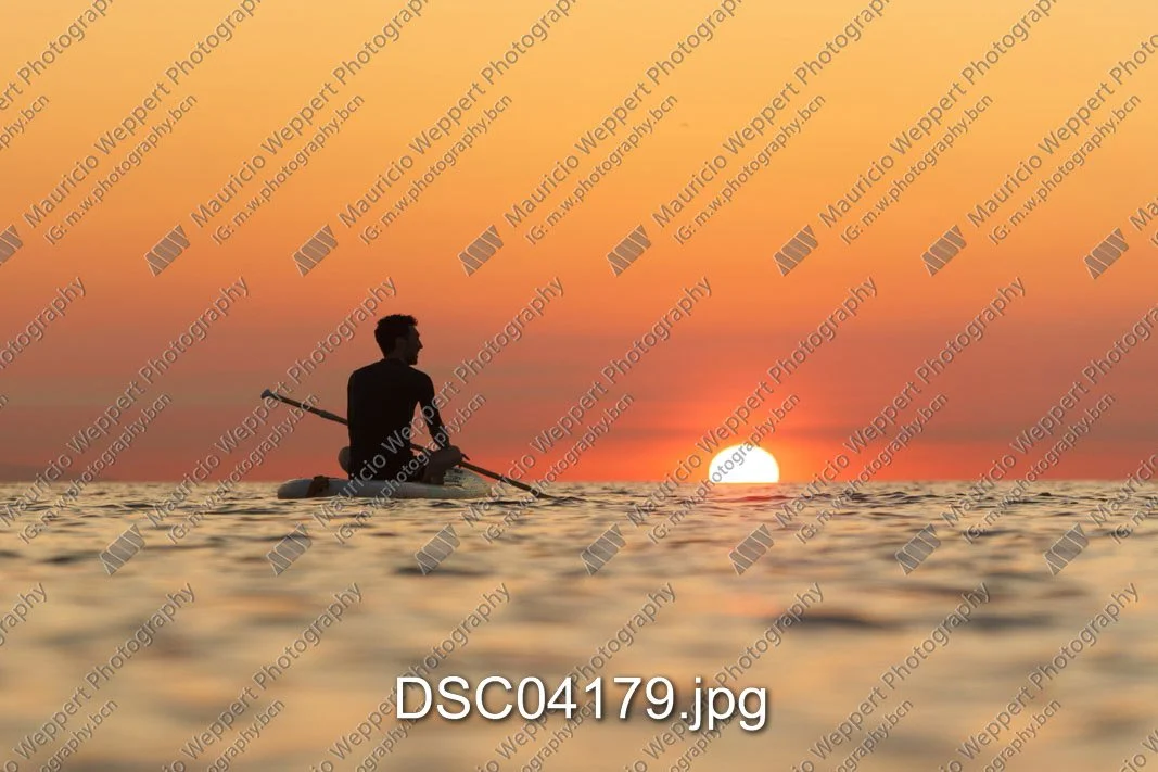 DSC04179.jpg