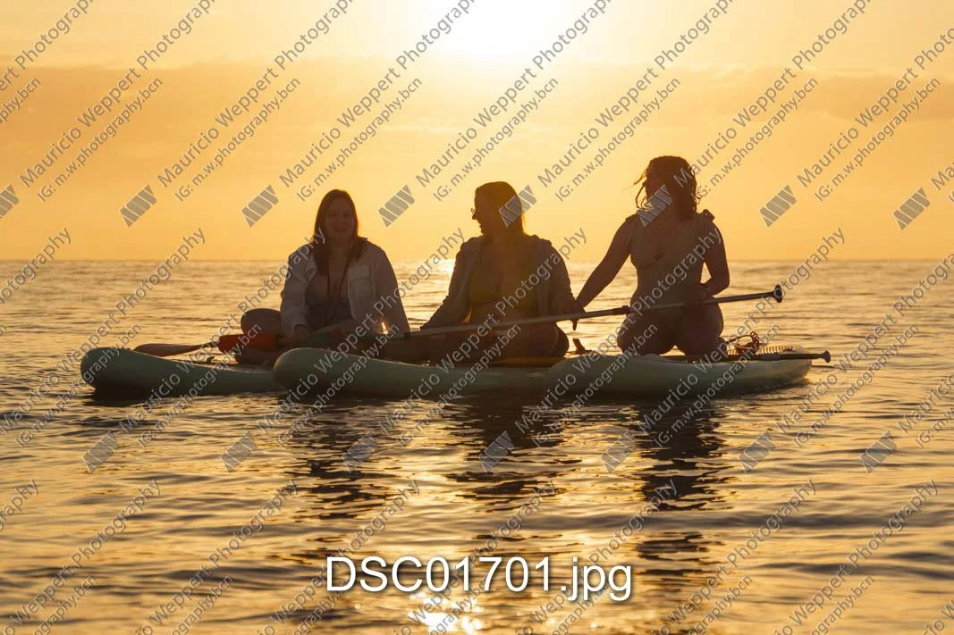DSC01701.jpg
