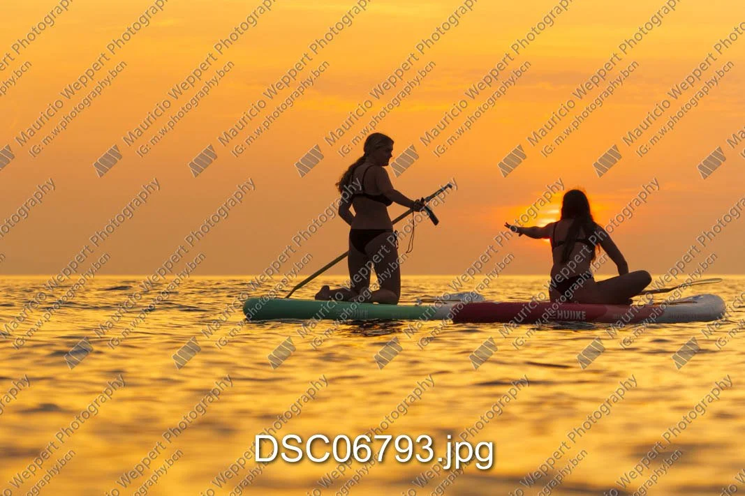 DSC06793.jpg