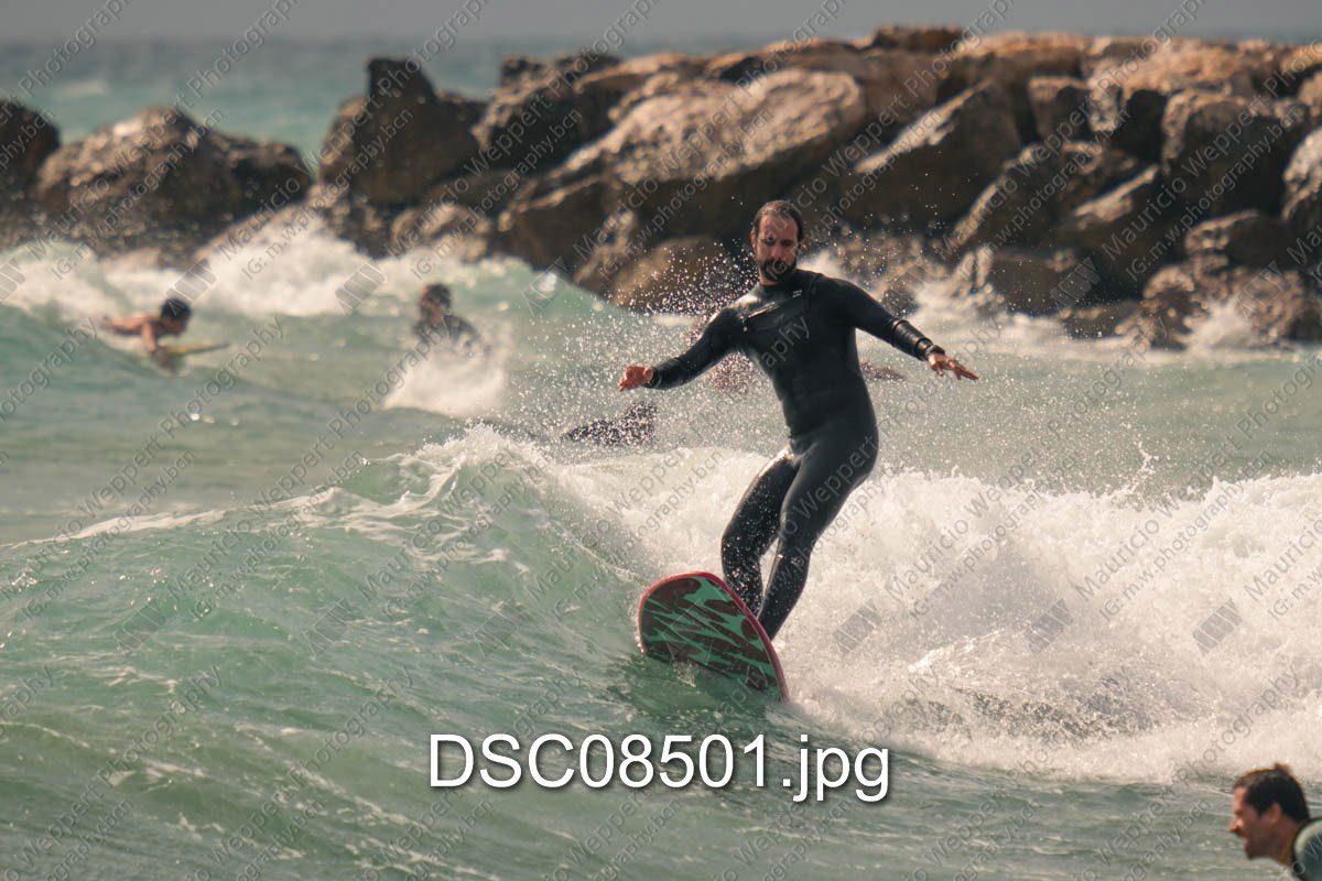 DSC08501.jpg