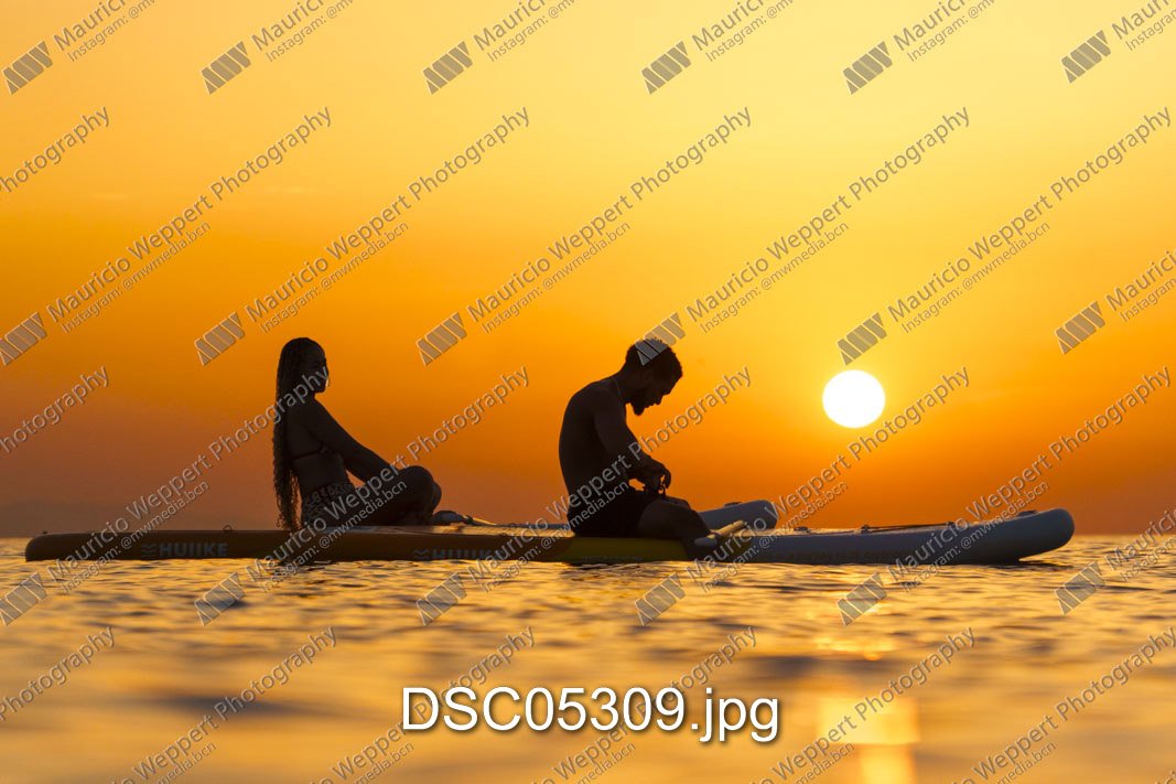DSC05309.jpg