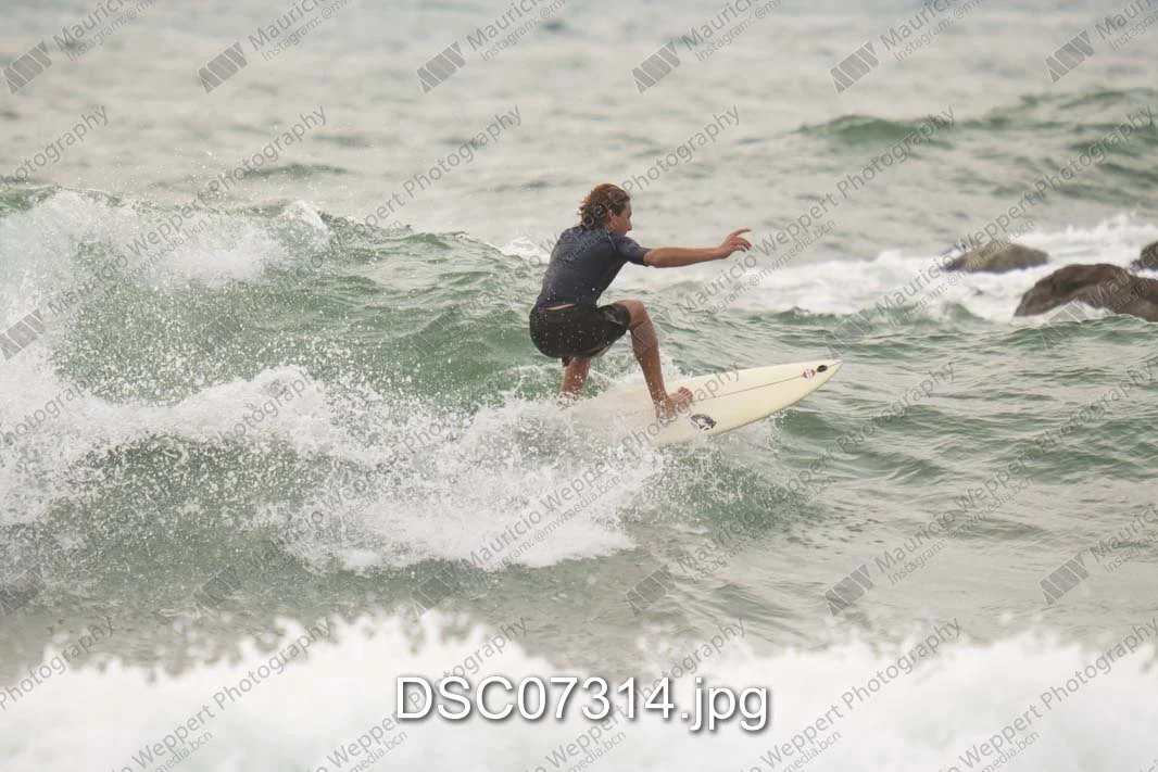 DSC07314.jpg