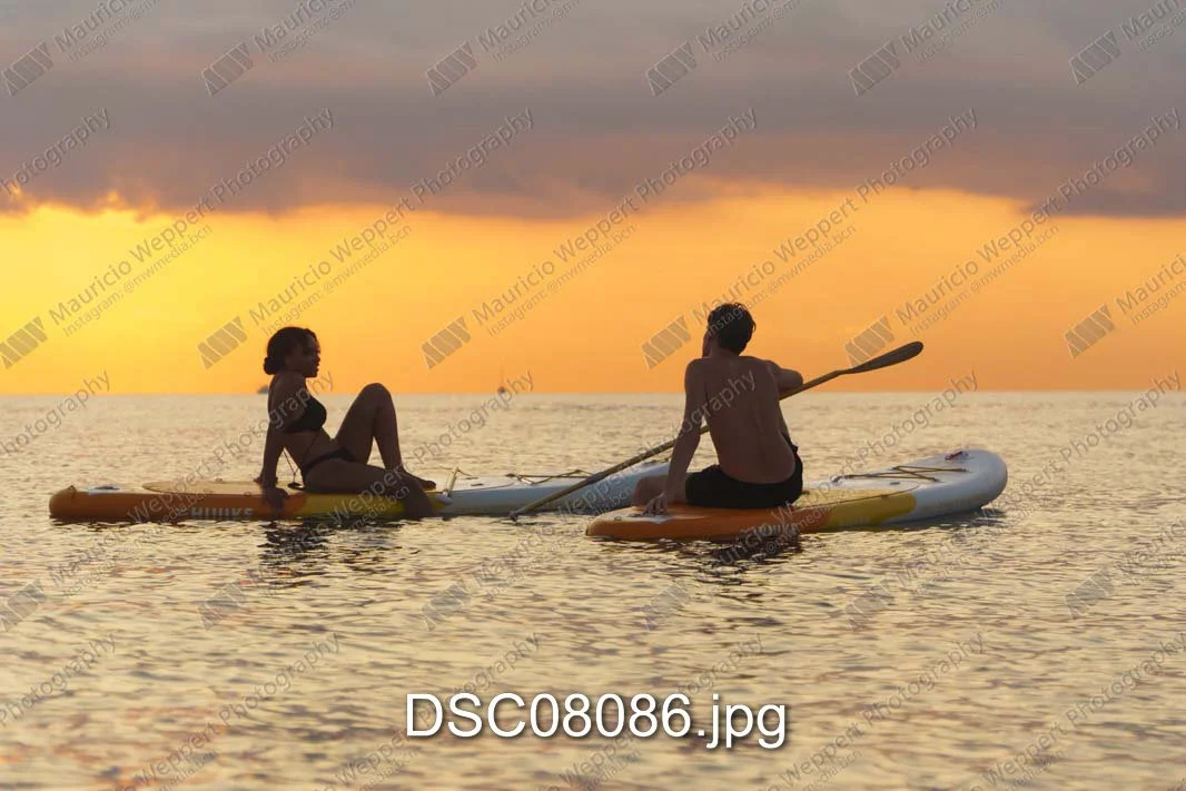 DSC08086.jpg