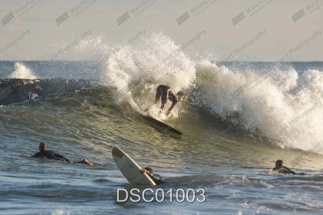 DSC01003.jpg