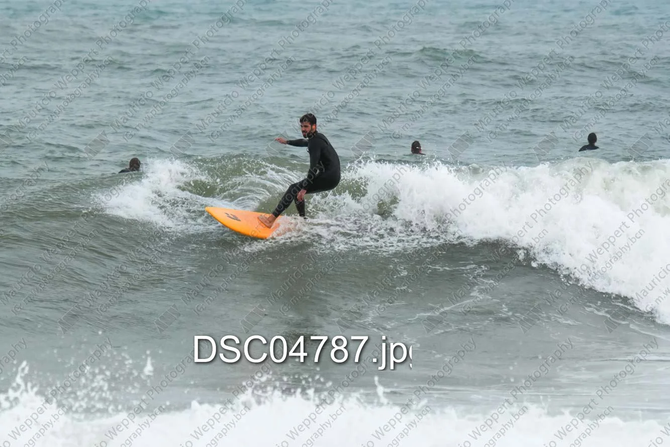 DSC04787.jpg