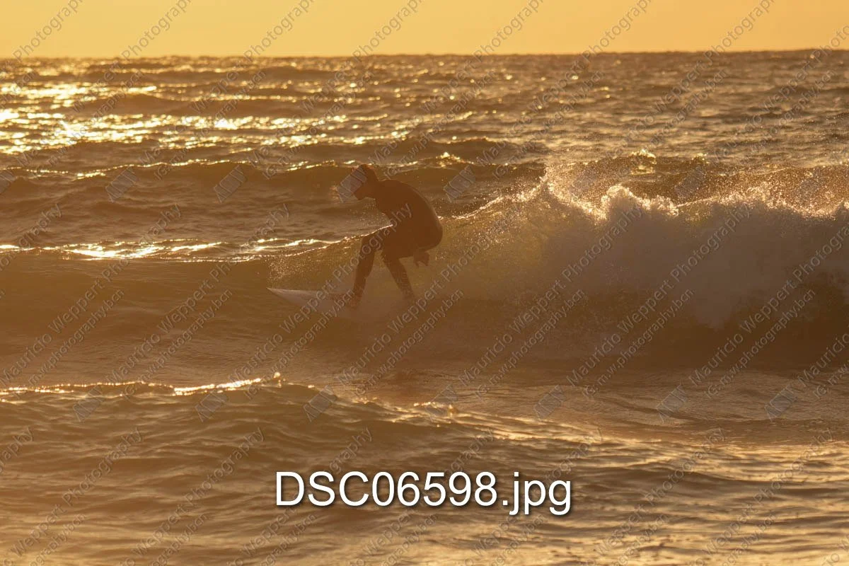 DSC06598.jpg
