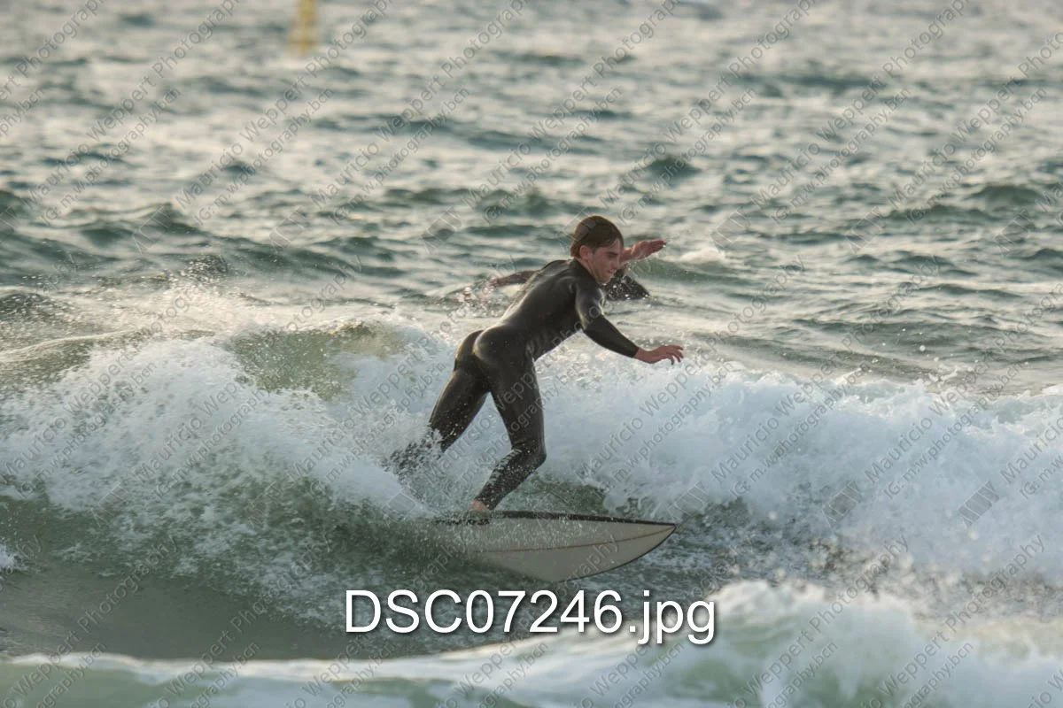 DSC07246.jpg