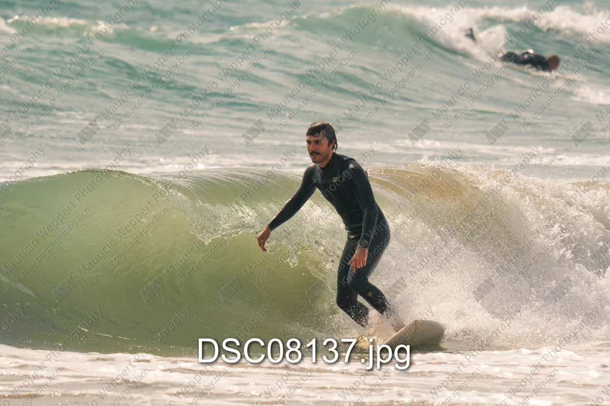 DSC08137.jpg