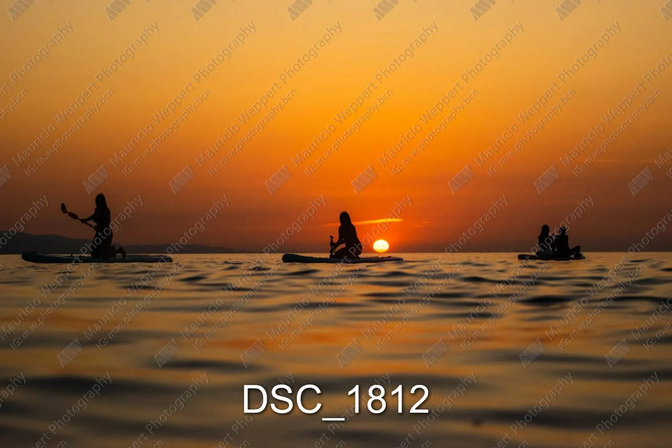 DSC_1812.jpg