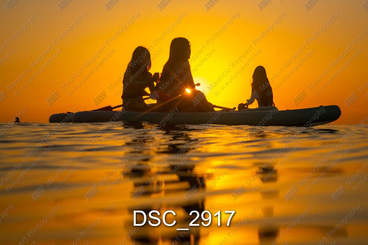 DSC_2917.jpg