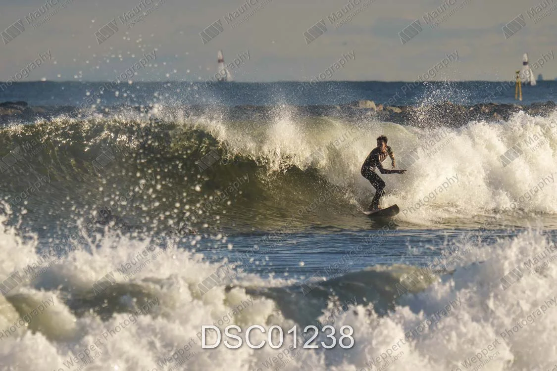 DSC01238.jpg