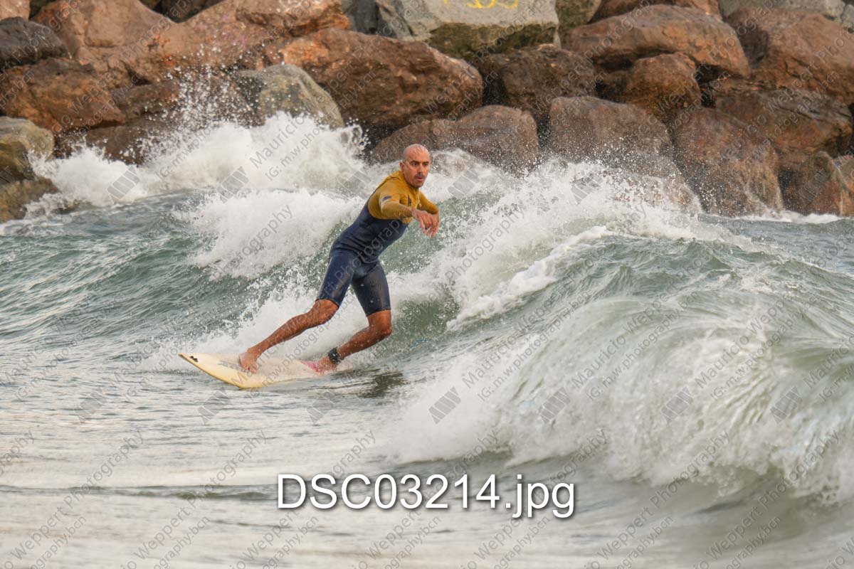 DSC03214.jpg