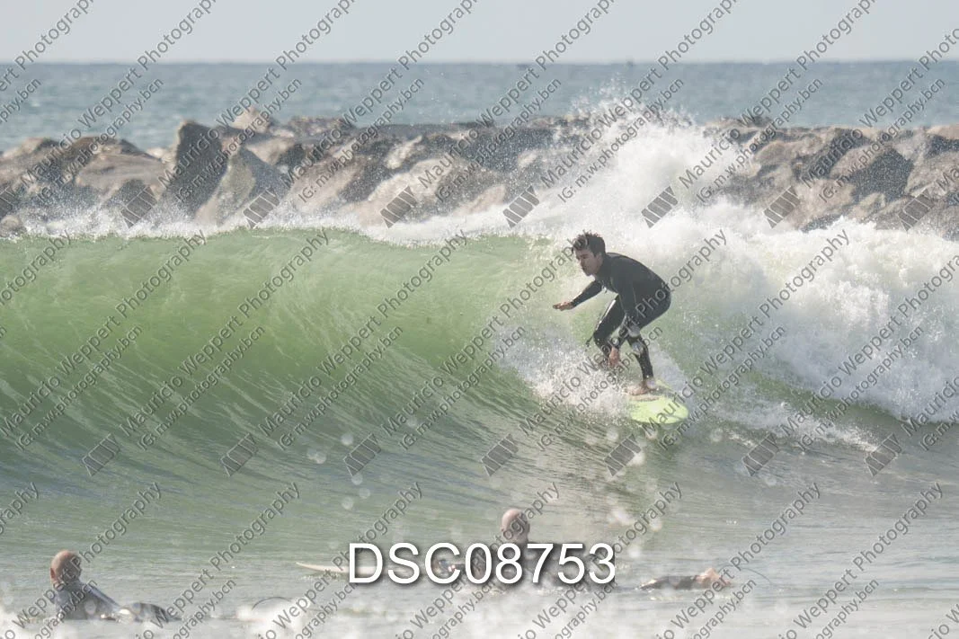 DSC08753.jpg