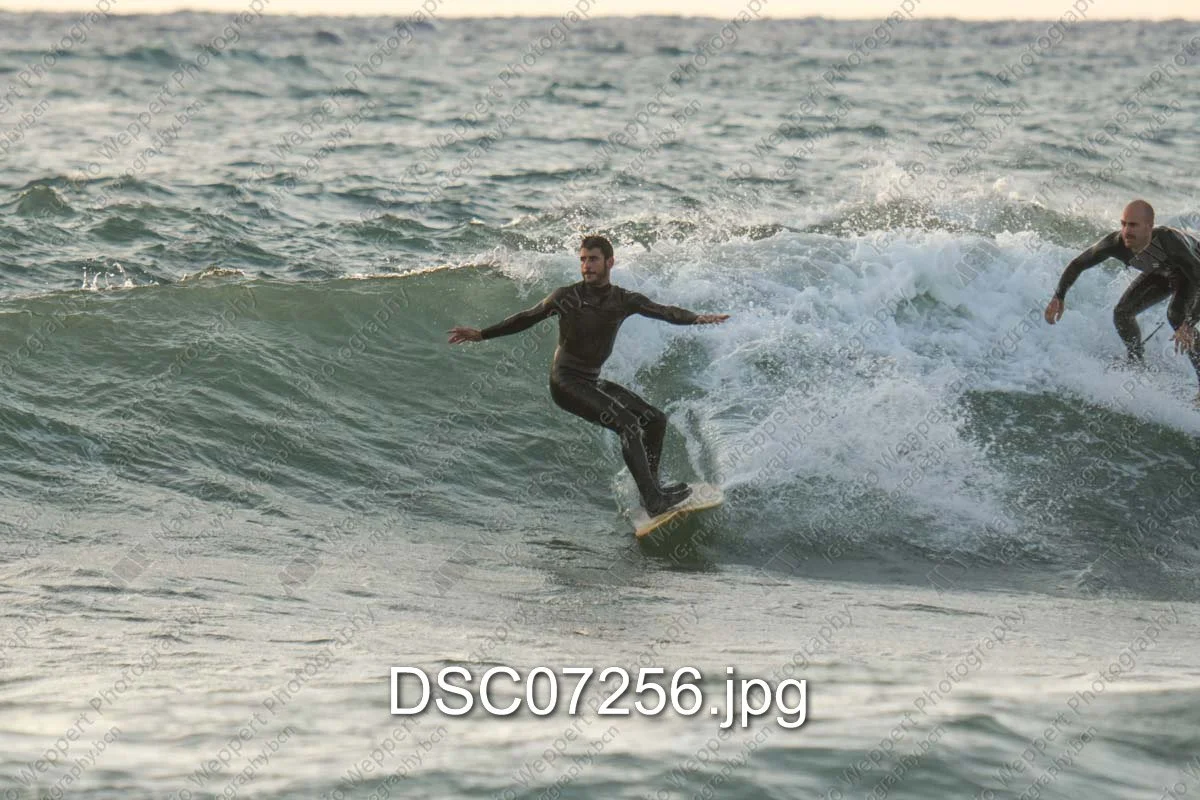 DSC07256.jpg