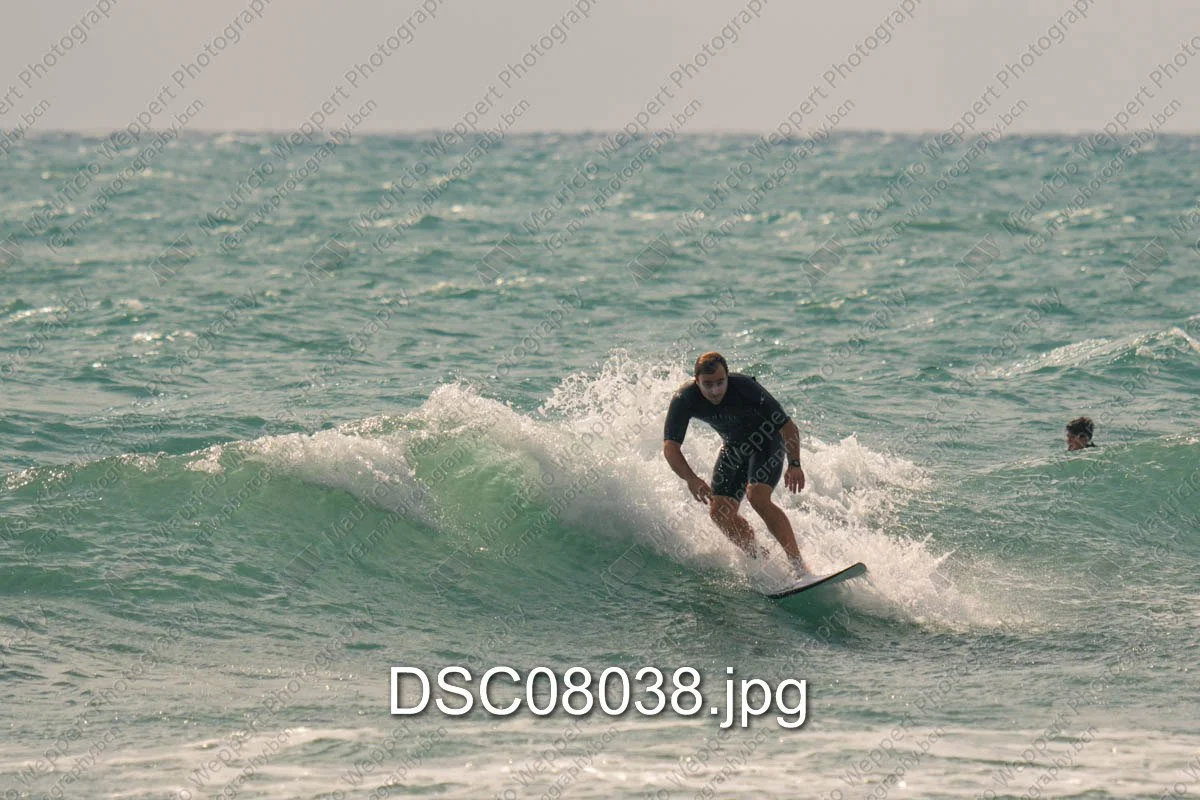 DSC08038.jpg