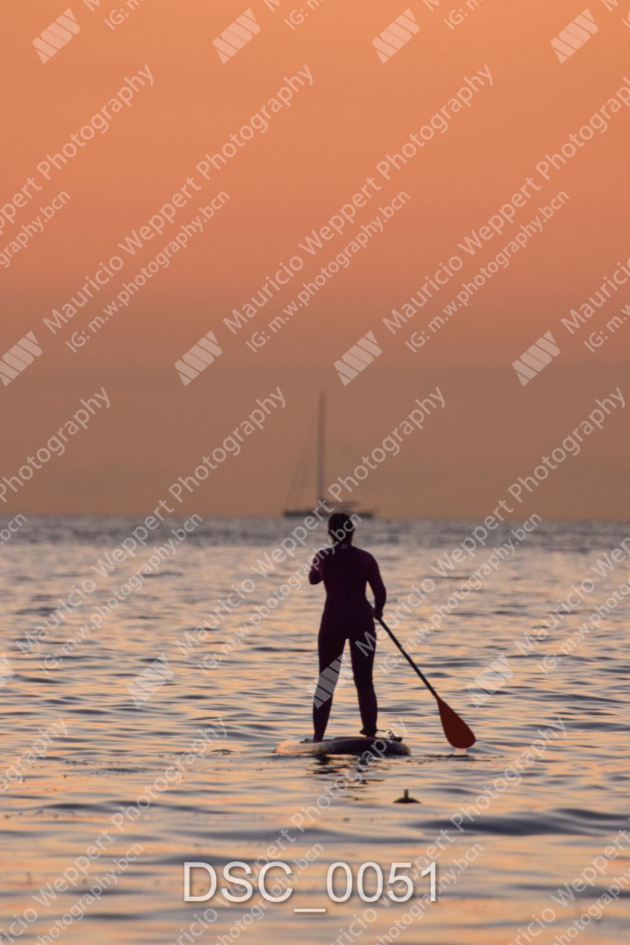 DSC_0051.jpg