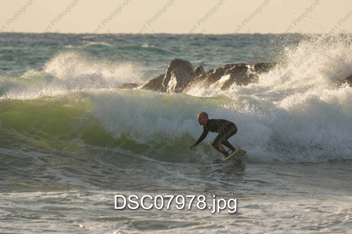 DSC07978.jpg