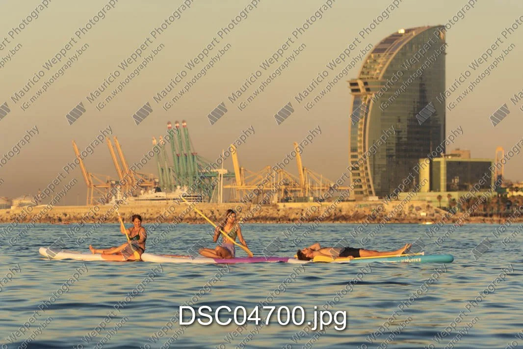 DSC04700.jpg