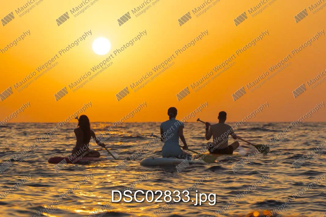 DSC02833.jpg