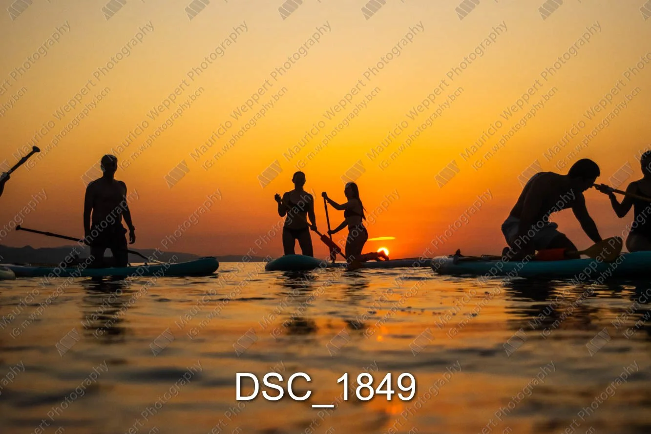 DSC_1849.jpg