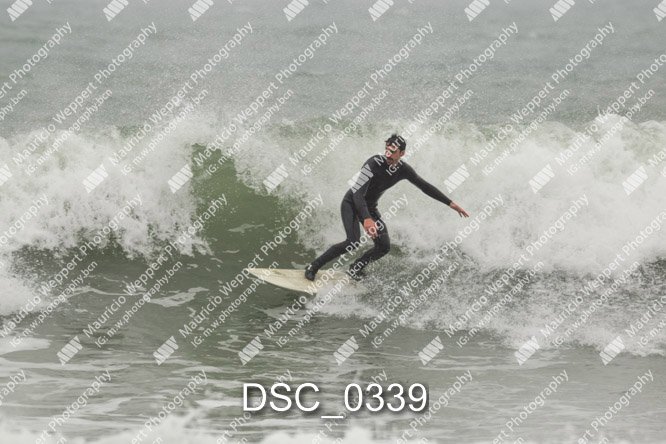 DSC_0339.jpg