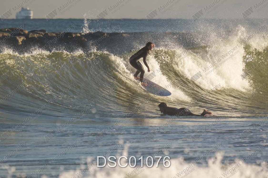 DSC01076.jpg