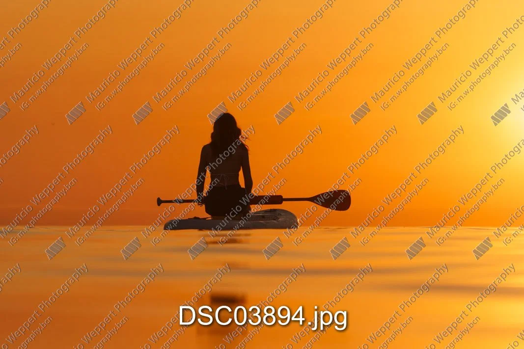DSC03894.jpg