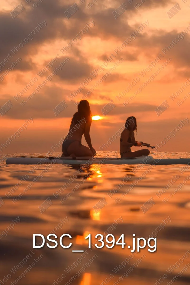 DSC_1394.jpg