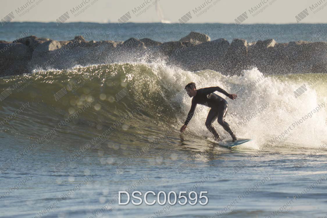 DSC00595.jpg