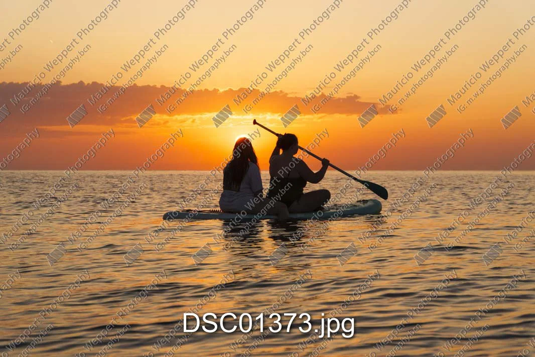 DSC01373.jpg