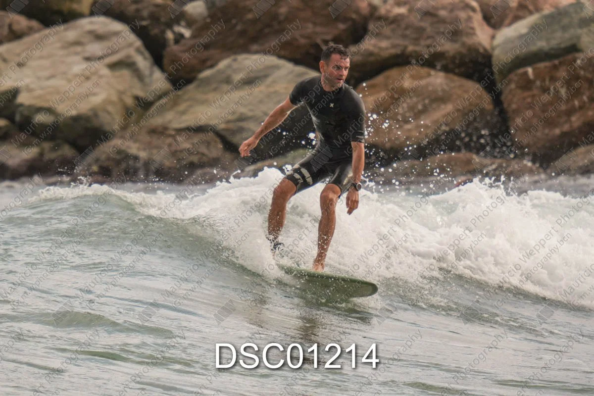 DSC01214.jpg