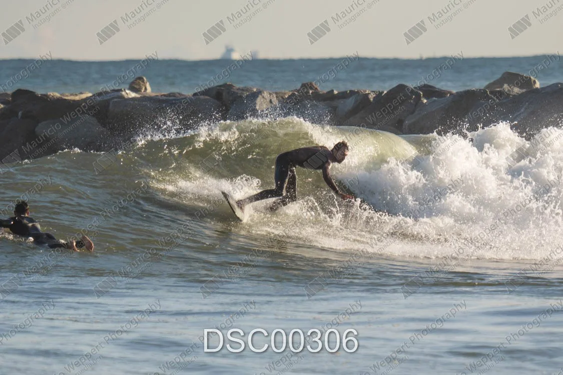 DSC00306.jpg