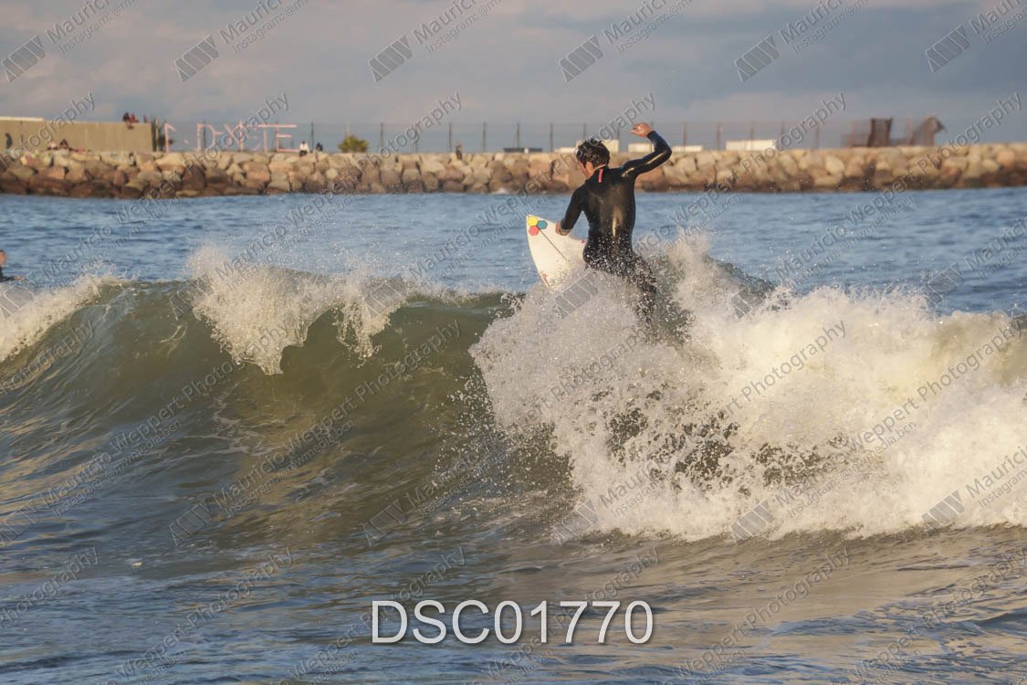 DSC01770.jpg