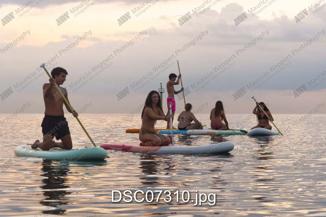 DSC07310.jpg