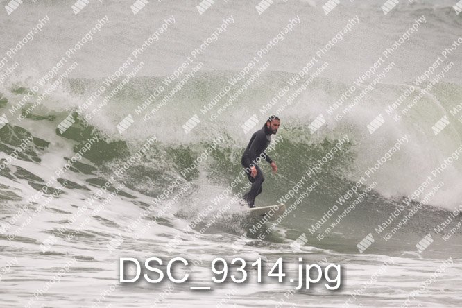 DSC_9314.jpg