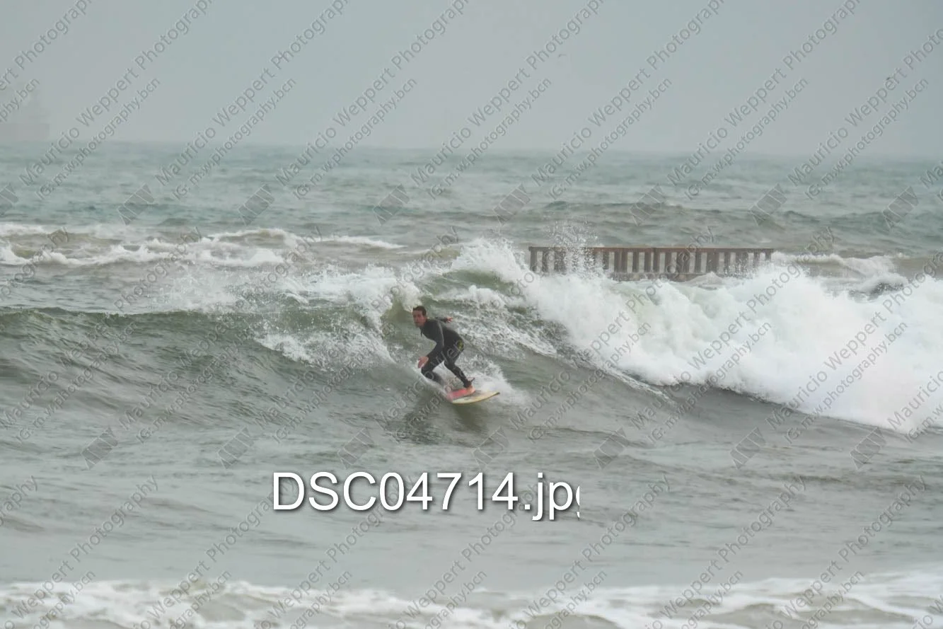 DSC04714.jpg