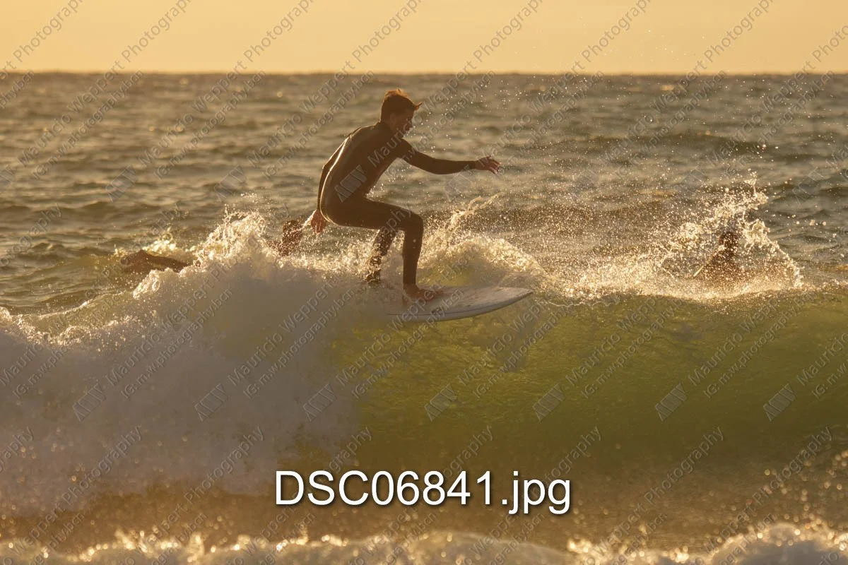 DSC06841.jpg