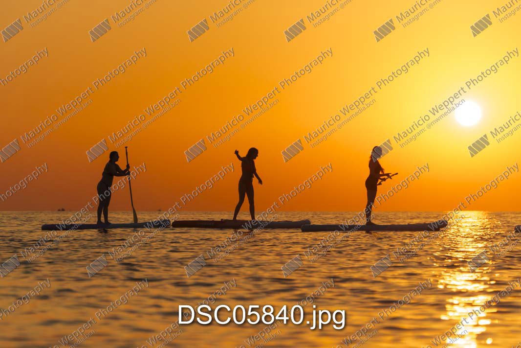 DSC05840.jpg