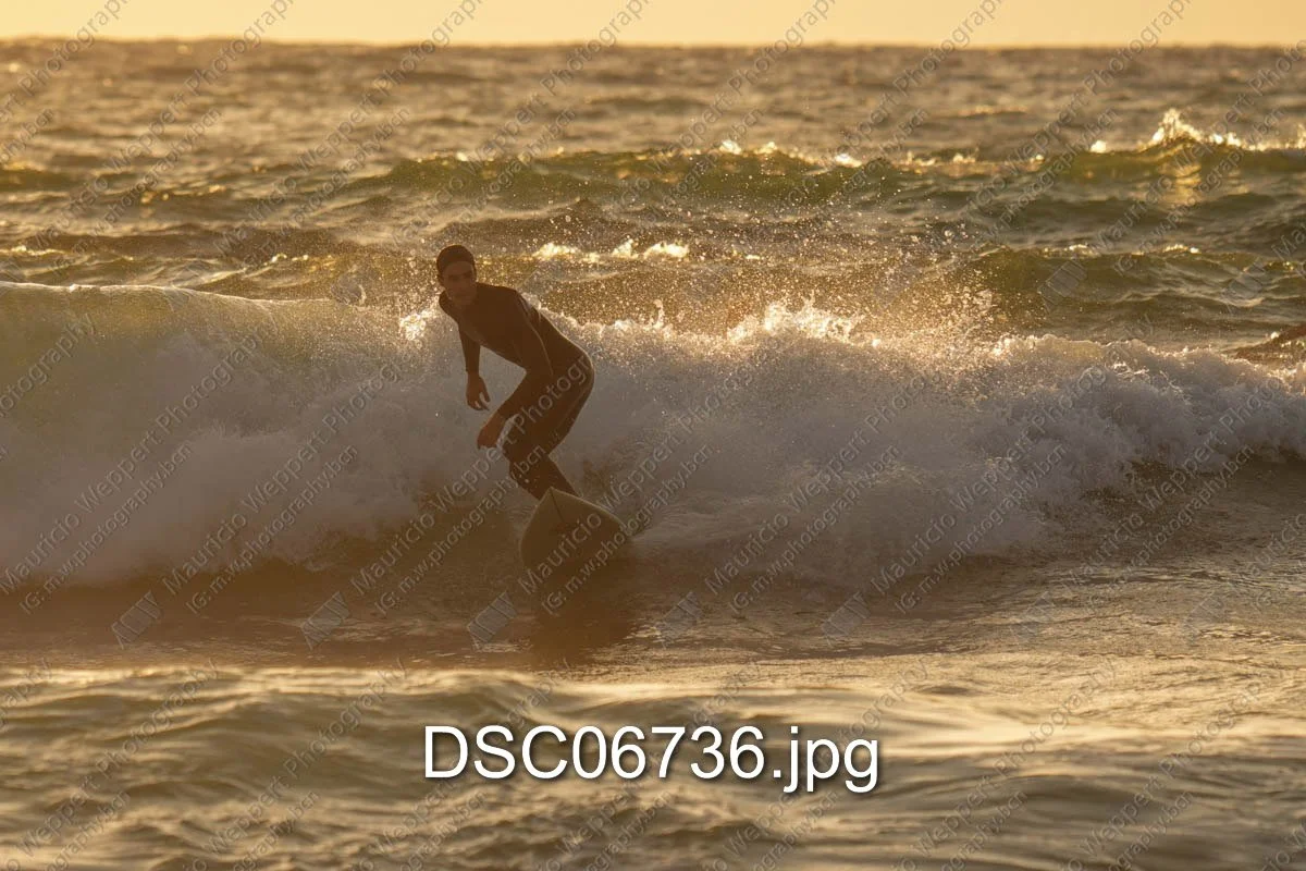 DSC06736.jpg